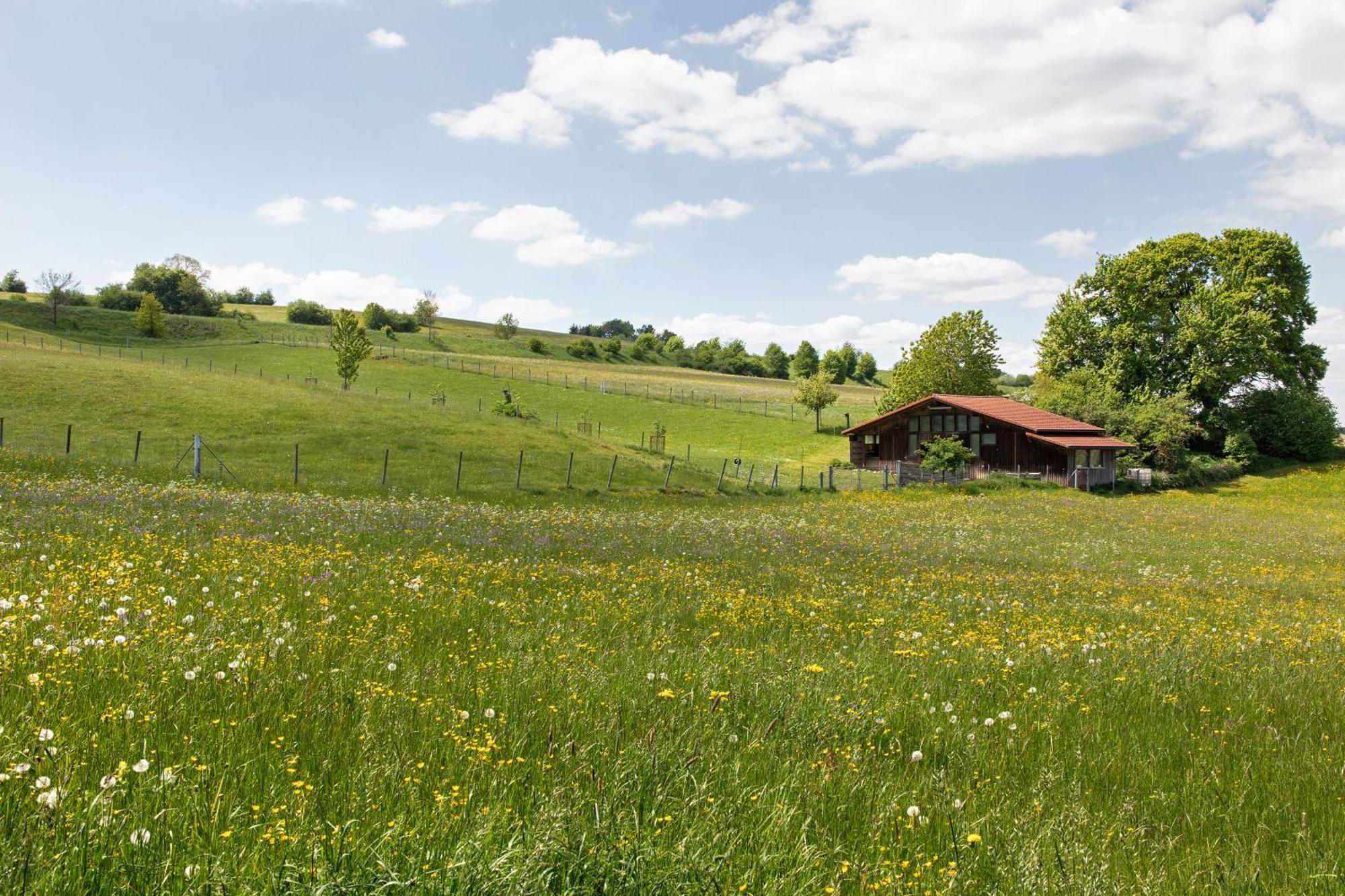 Ferienwohnung Emilia, 36Qm Münsingen Buitenkant foto
